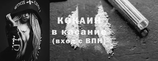 мдпв Богородицк