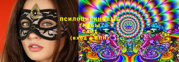 ALPHA PVP Бородино