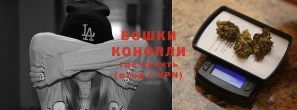 мдпв Богородицк
