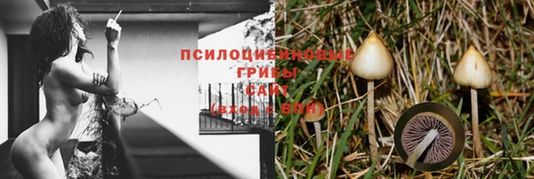 мдпв Богородицк