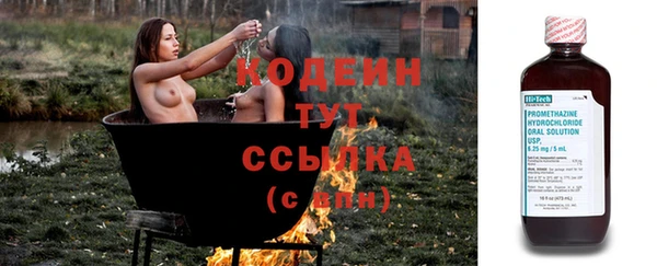мдпв Богородицк